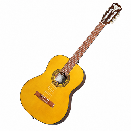 Epiphone PRO-1 Classic EAP2 Natural, guitarra completa en vista diagonal