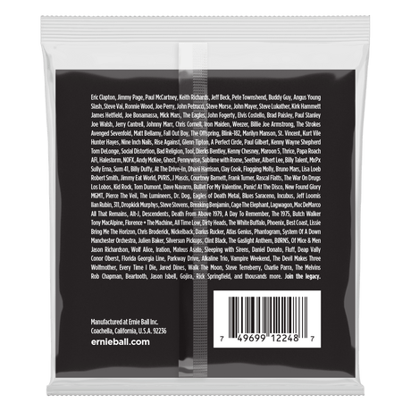 ENCORDADO ERNIE BALL 2248 - vista posterior