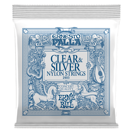 ENCORDADO ERNIE BALL 2403 ERNESTO PALLA - vista frontal