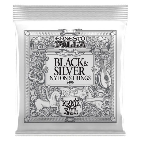ENCORDADO ERNIE BALL 2406 ERNESTO PALLA - vista frontal