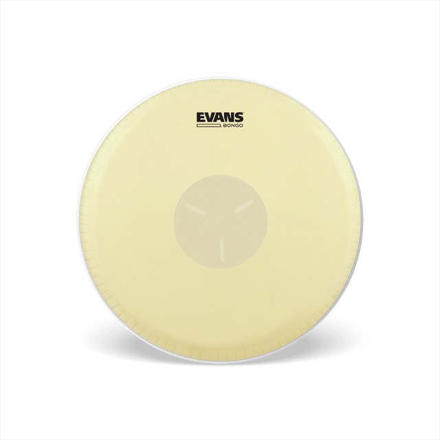 Evans PARCHE BONGO EB-077