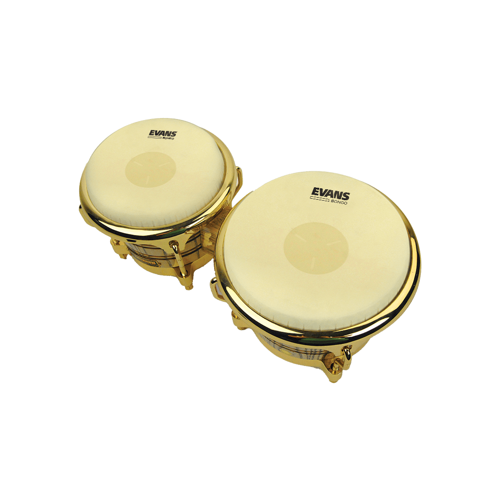 Evans PARCHE BONGO EB-077