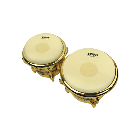 Evans PARCHE BONGO EB-077