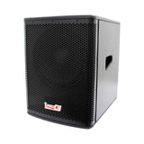 Bajo activo Pro DJ WSF-12SA de 12 pulgadas, vista frontal en ángulo sobre fondo blanco