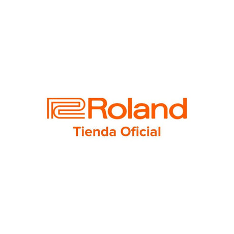 Adaptador de corriente Roland PSB-120 con cable de alimentación