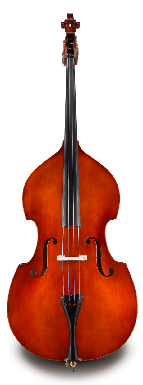 Contrabajo Samuel Eastman VB8034SBC de Estudio vista frontal