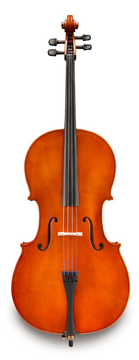 Violonchelo Samuel Eastman VC8044SBC de Estudio vista frontal