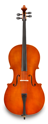 Violonchelo Samuel Eastman VC8034SBC de Estudio vista frontal