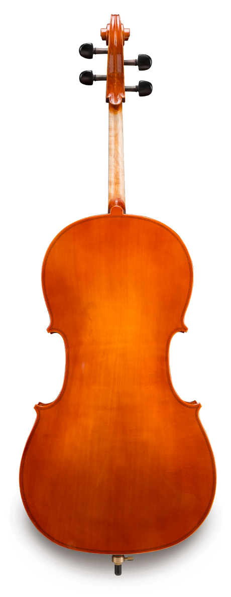 Violonchelo Samuel Eastman VC8044SBC de Estudio vista posterior