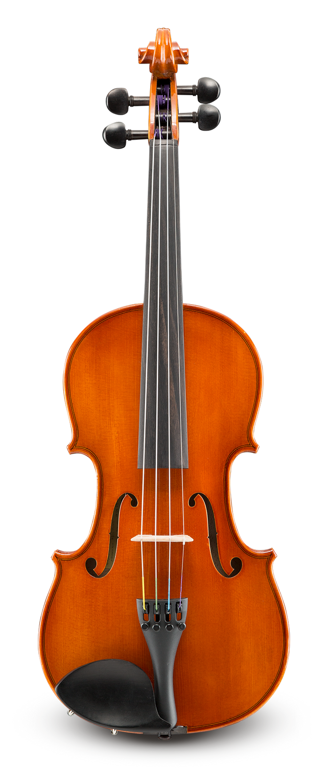 Violín Samuel Eastman VL8044SBC de Estudio vista frontal