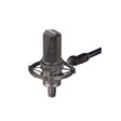MICROFONO CONDENSADOR AUDIOTECHNICA AT4050, imagen 1