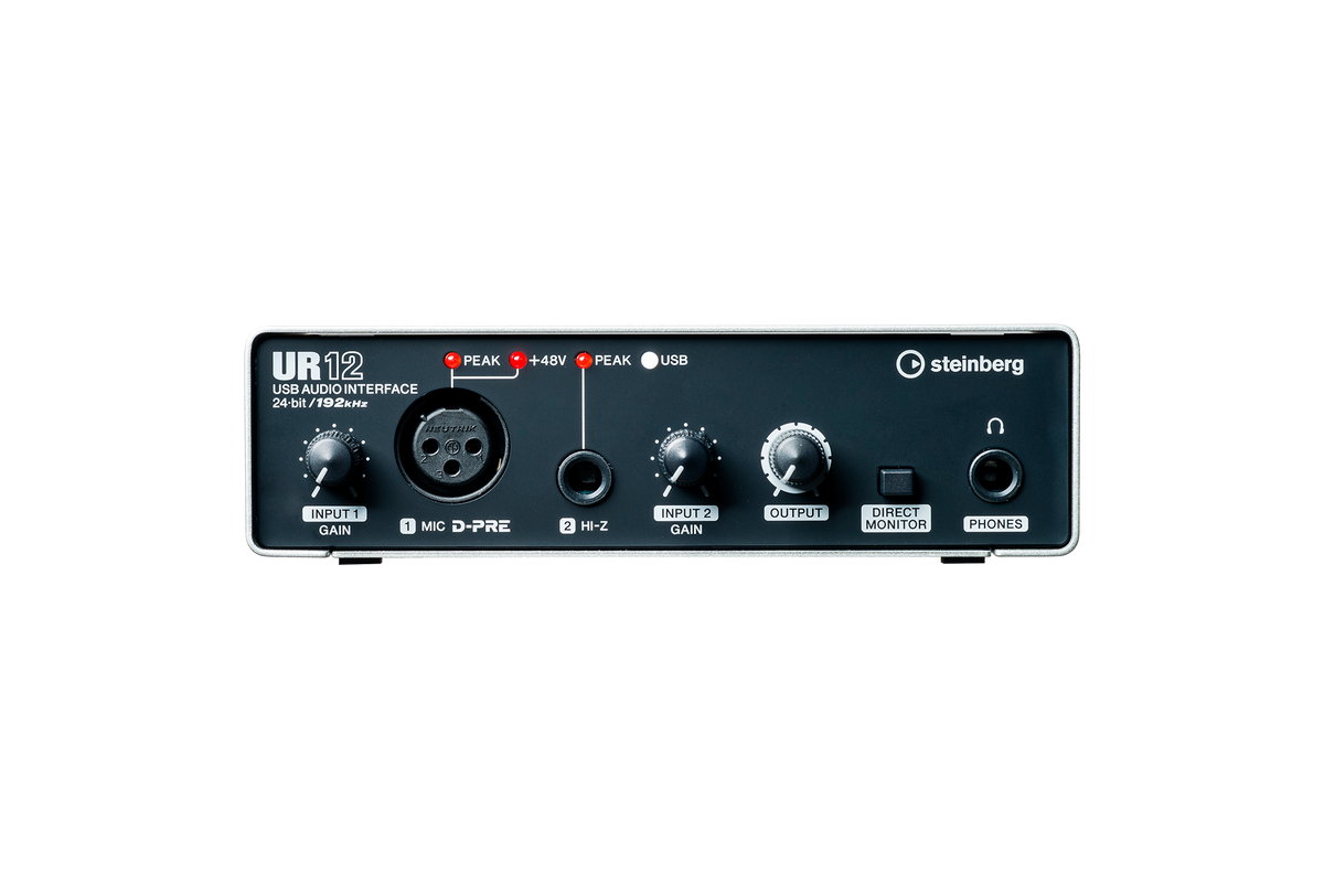 Interfaz de audio Steinberg UR12 plata y negro, panel frontal