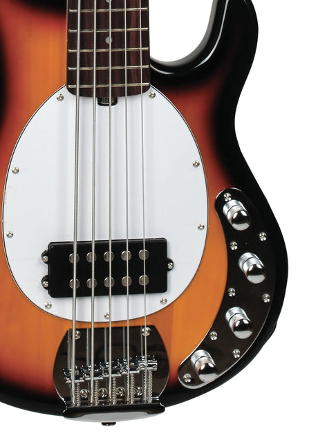 Bajo Tagima TBM-5 sunburst, vista posterior